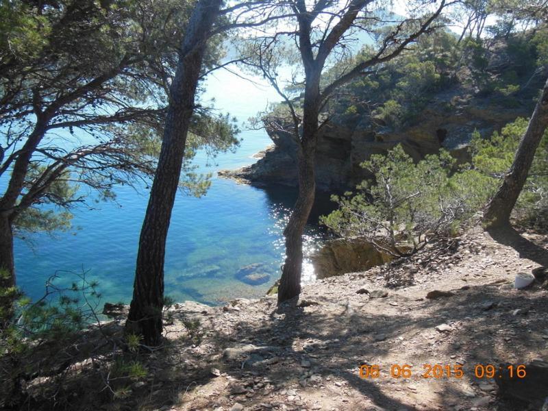 Villa Lili Céret Esterno foto