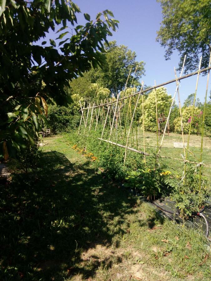 Villa Lili Céret Esterno foto