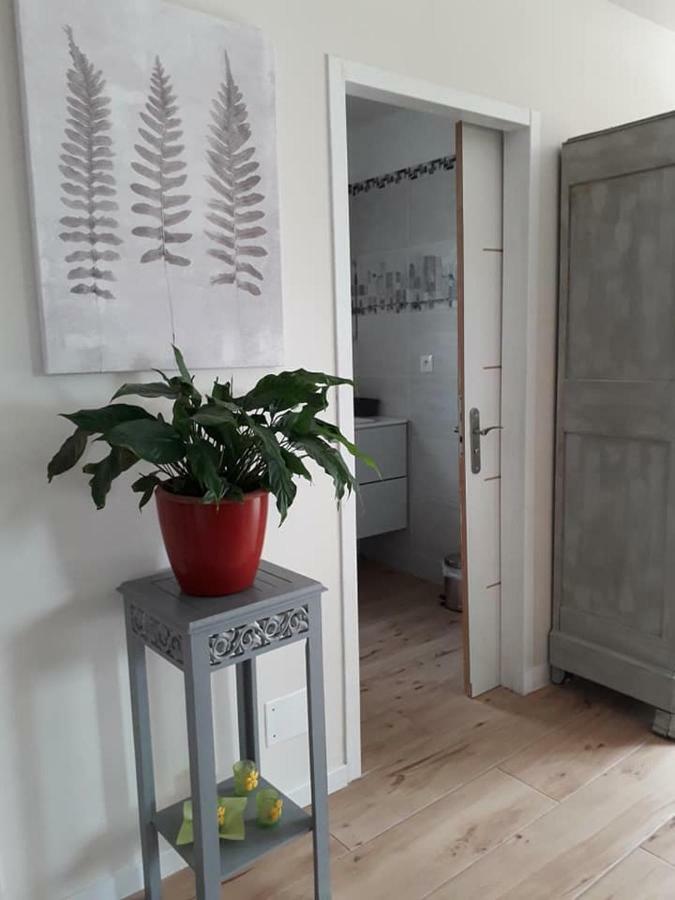 Villa Lili Céret Esterno foto