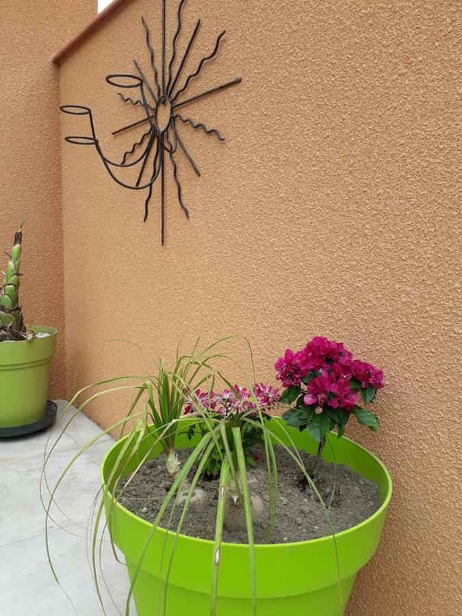 Villa Lili Céret Esterno foto